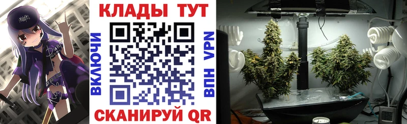 А ПВП Вяземский