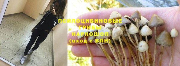 прущие крисы Краснотурьинск