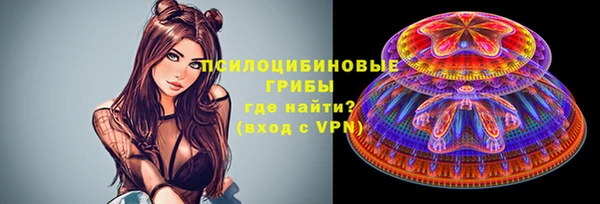 MDMA Premium VHQ Краснослободск