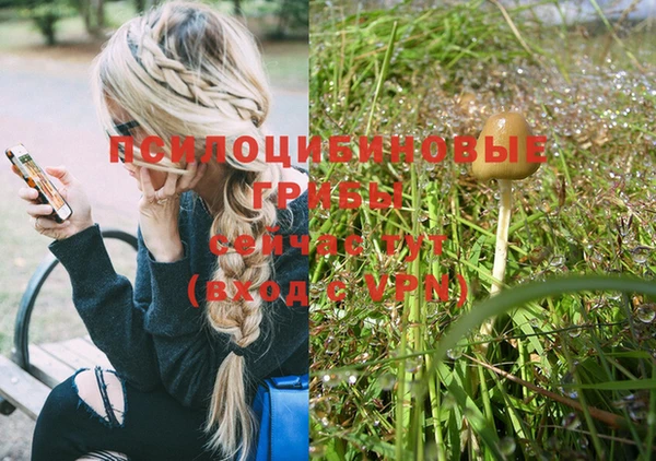 прущие крисы Краснотурьинск
