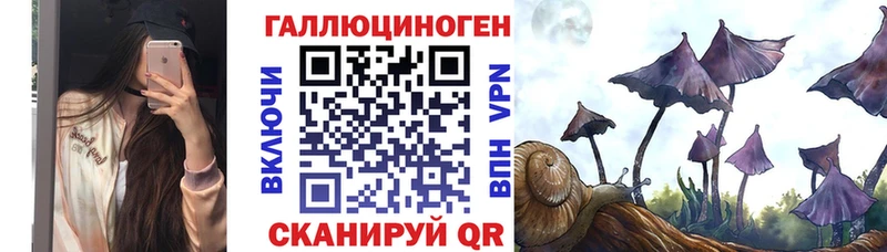 Купить закладки  Вяземский  Галлюциногенные грибы Psilocybine cubensis 